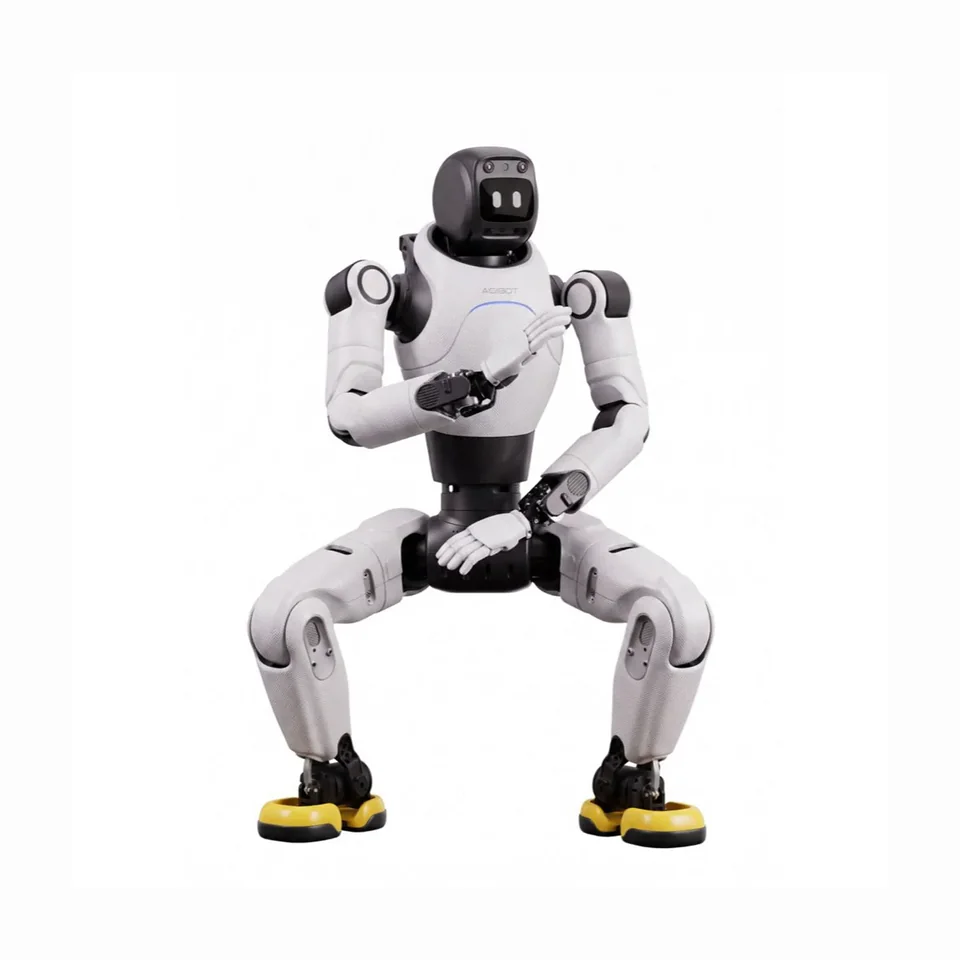 AGIBOT X2 Neo