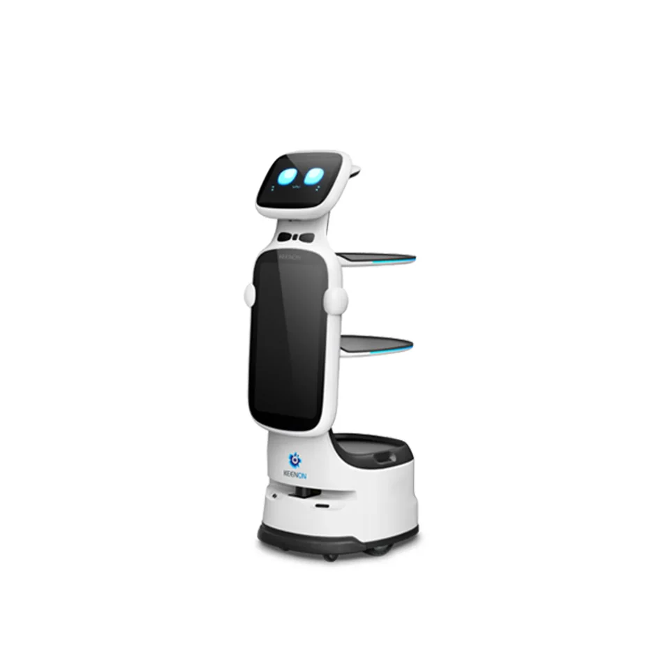 KEENON DINERBOT T11