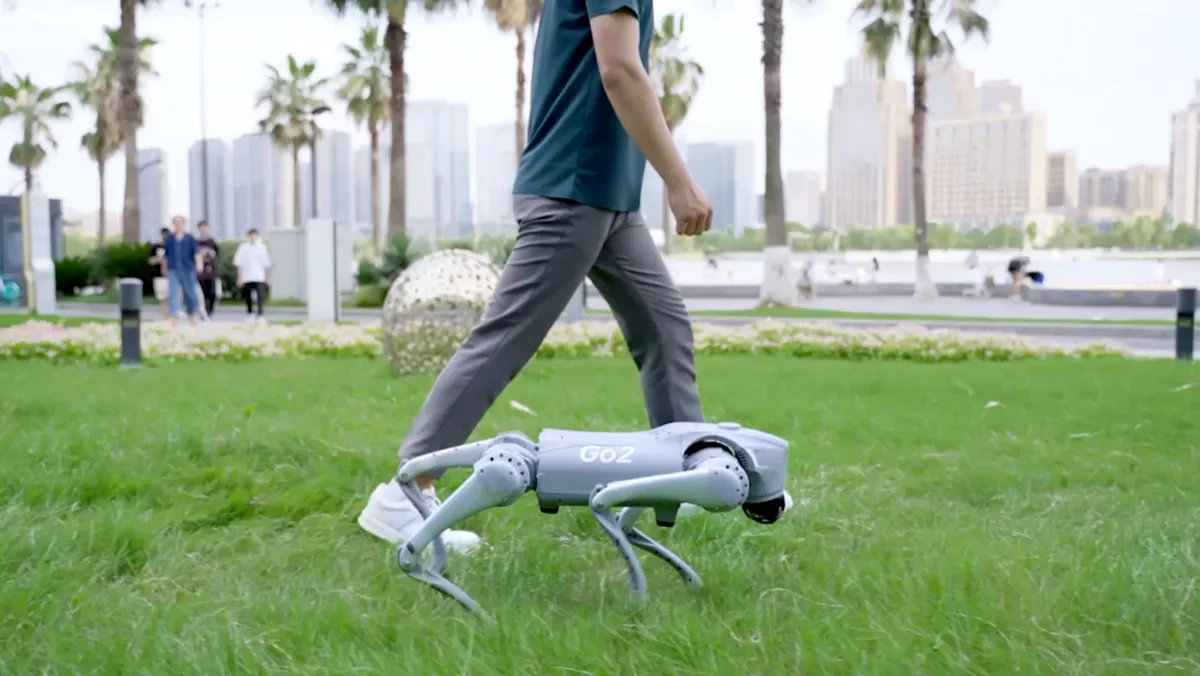 Side-follow demonstration: Go2 walking alongside a person on grass.