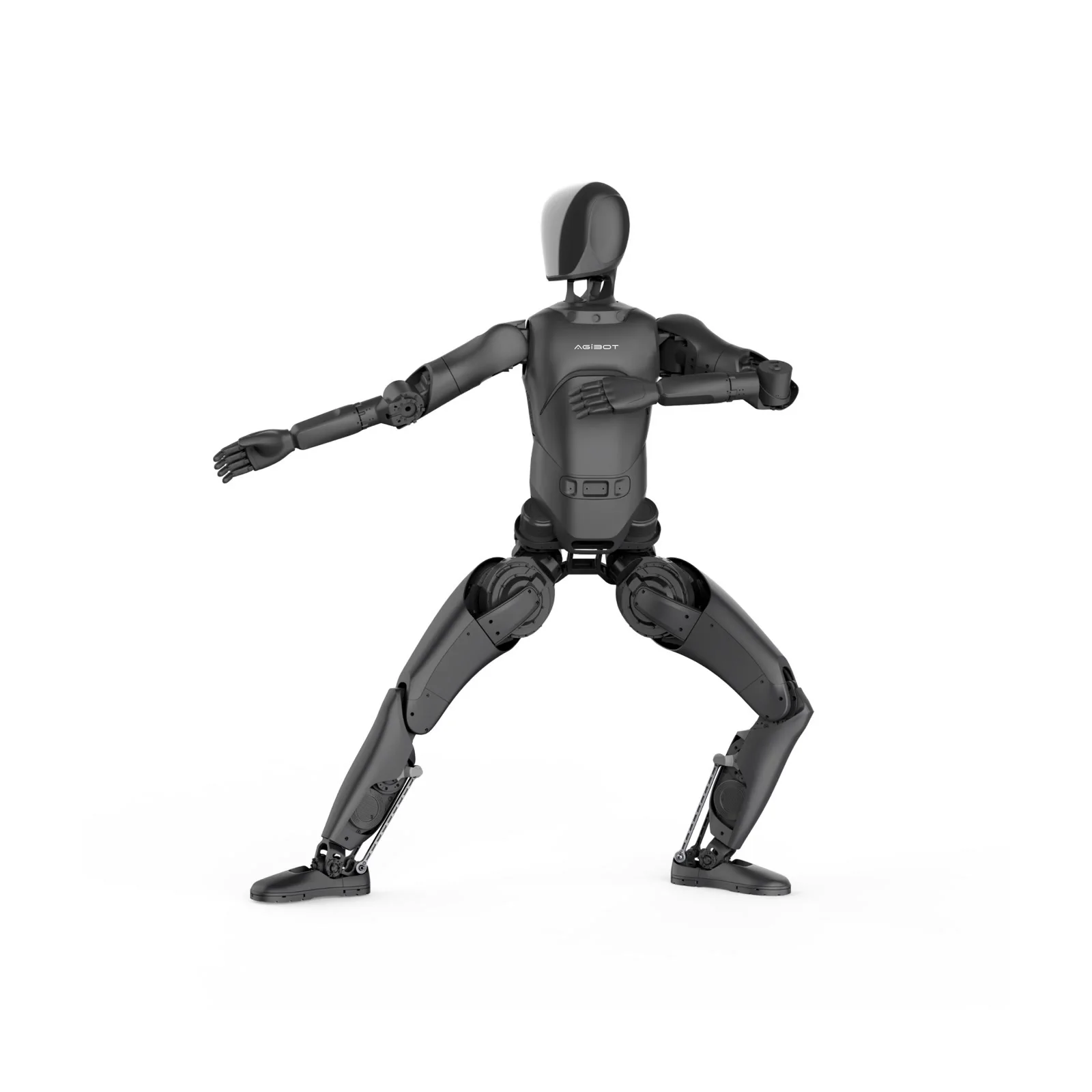 AGIBOT A2 Lite — whole product view