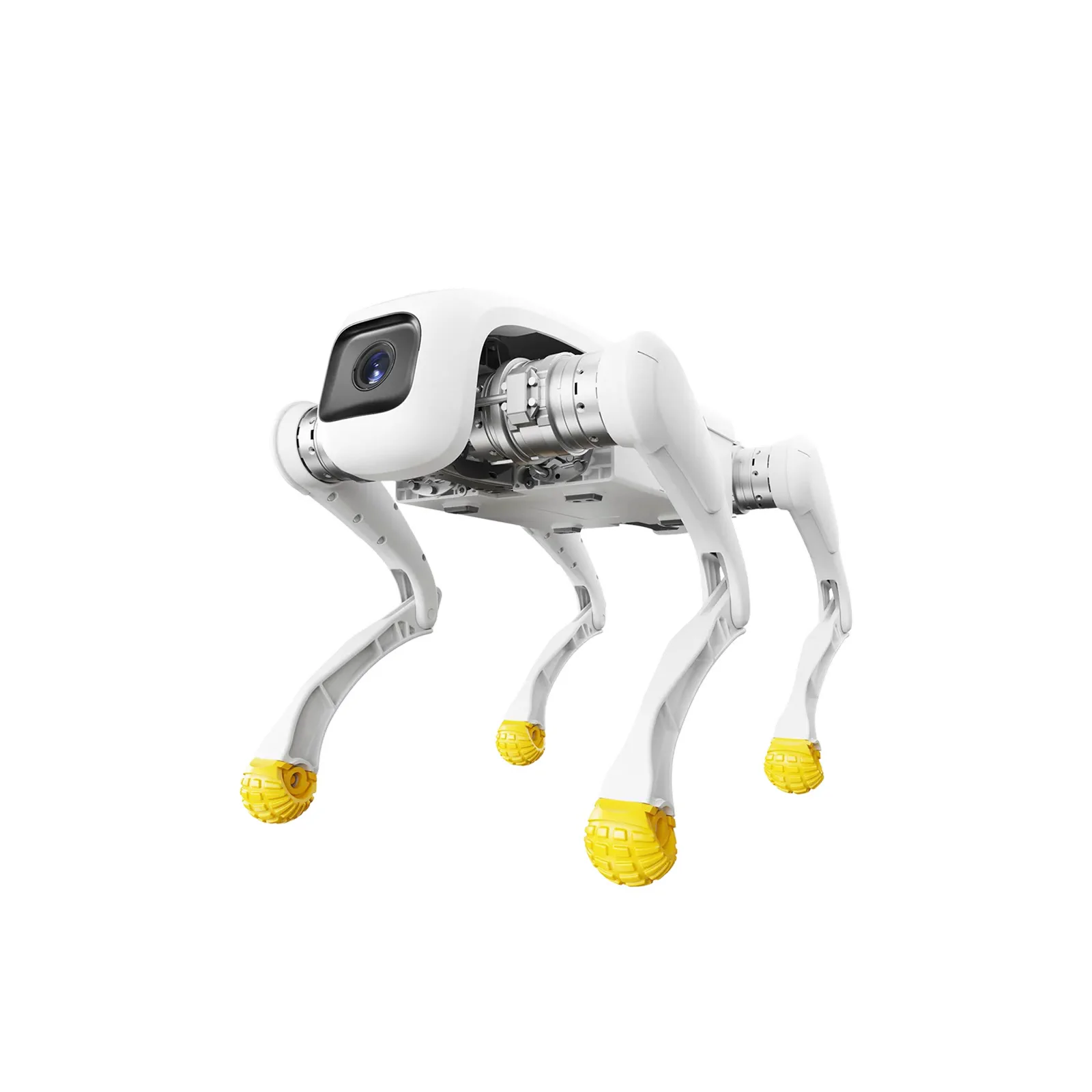 AGIBOT D1 Pro — whole product view