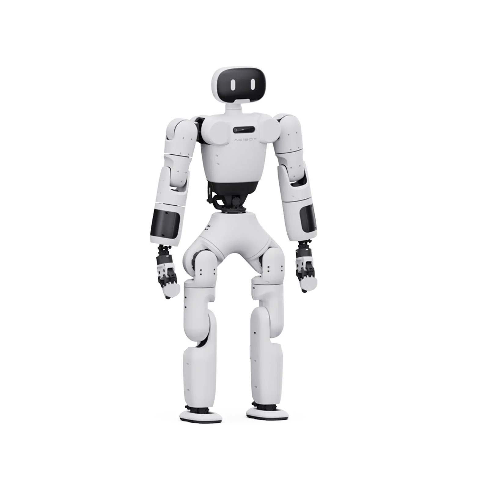 AGIBOT X1 — whole product view