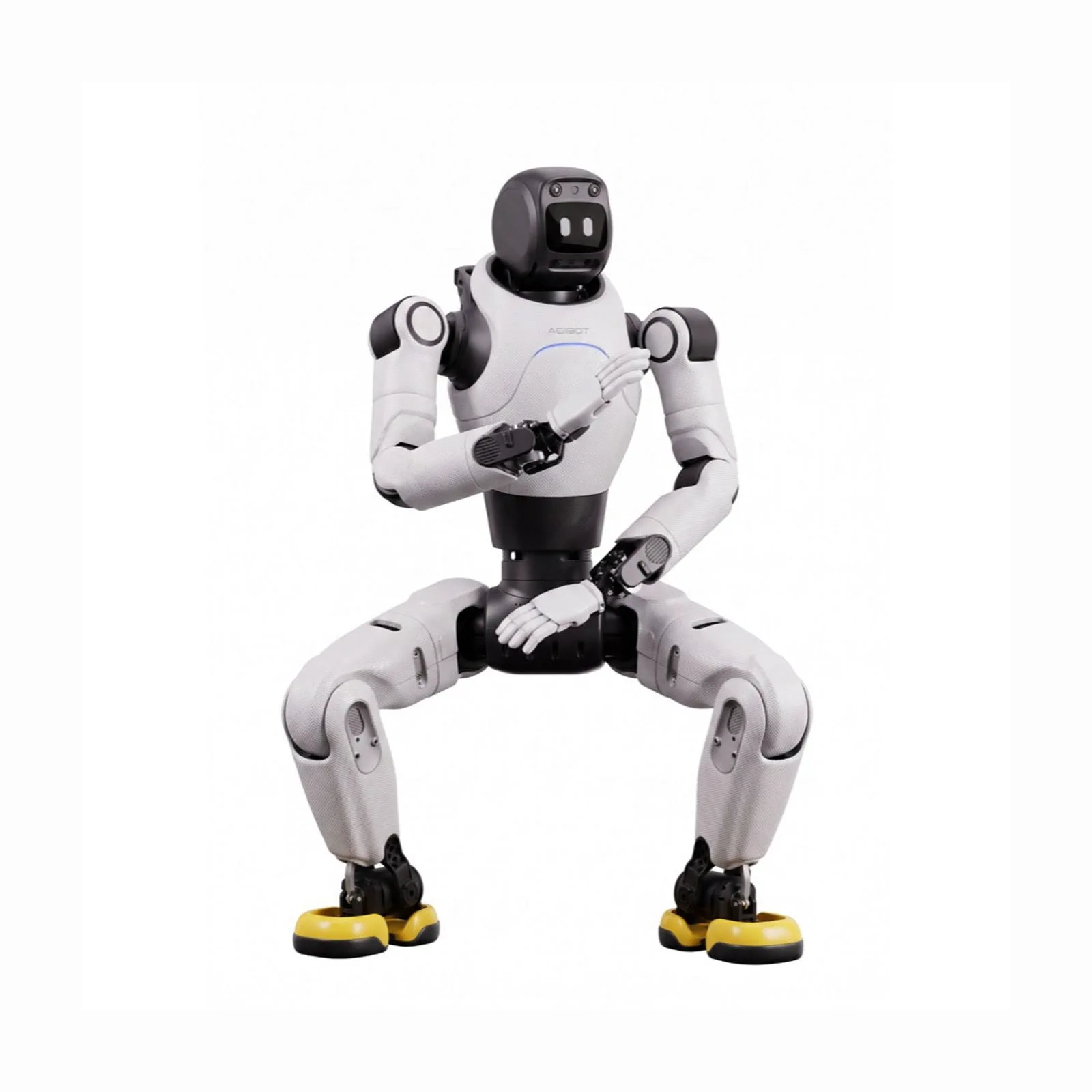 AGIBOT X2 Neo — whole product view