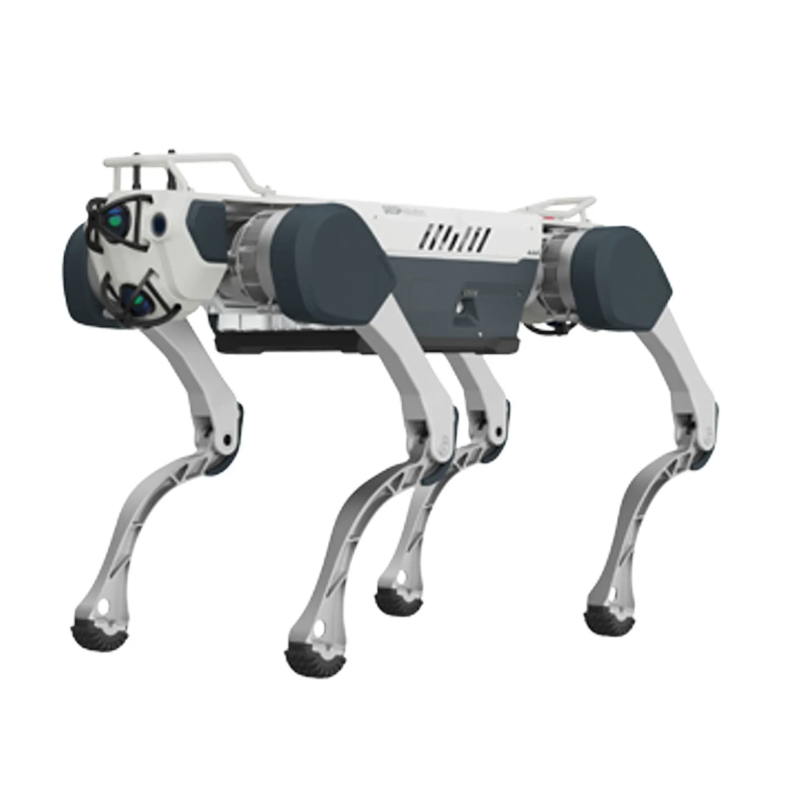 DEEP Robotics X30 — whole product view